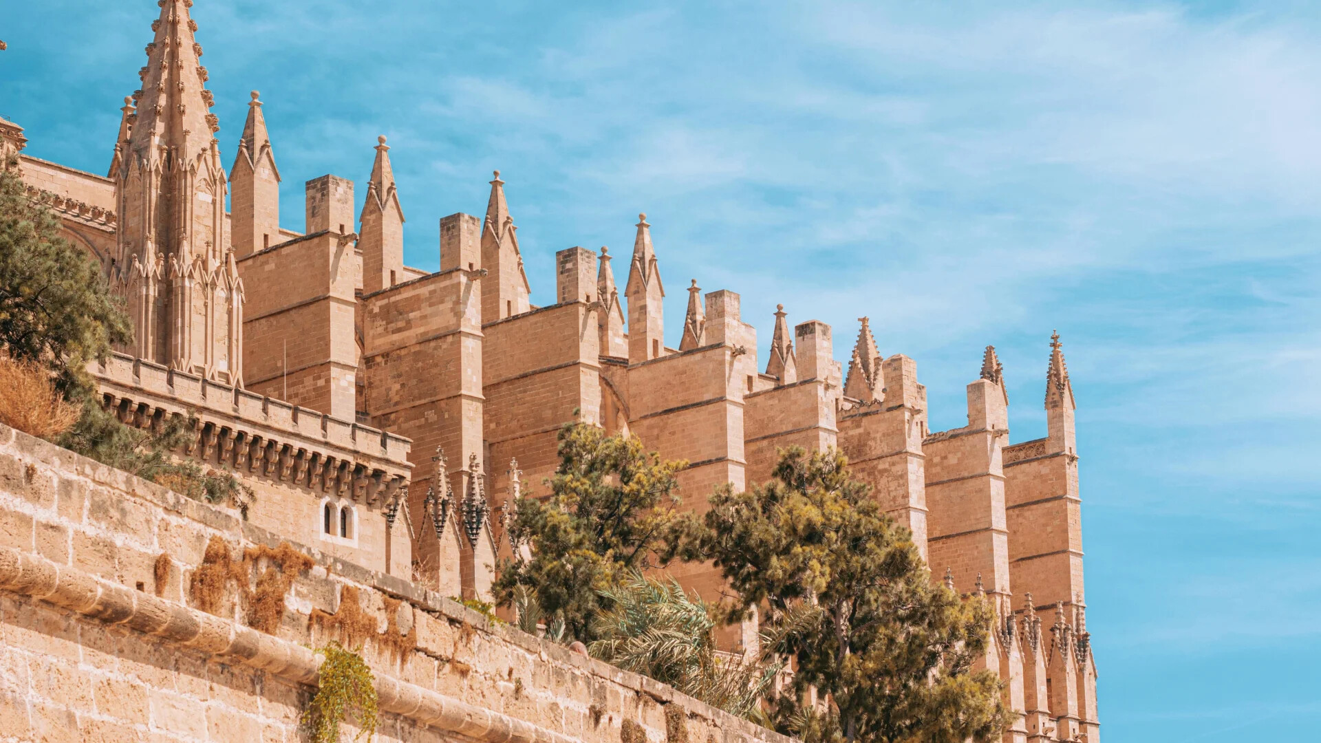 Palma de Mallorca - charterresa med TripX