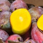 Mangos Osteen frescos comprados directamente del agricultor en Tropitop