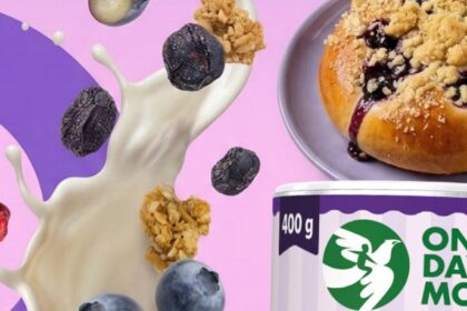 Granola a la Blueberry Pie od OneDayMore - zdrowa granola z jagodami i owocami