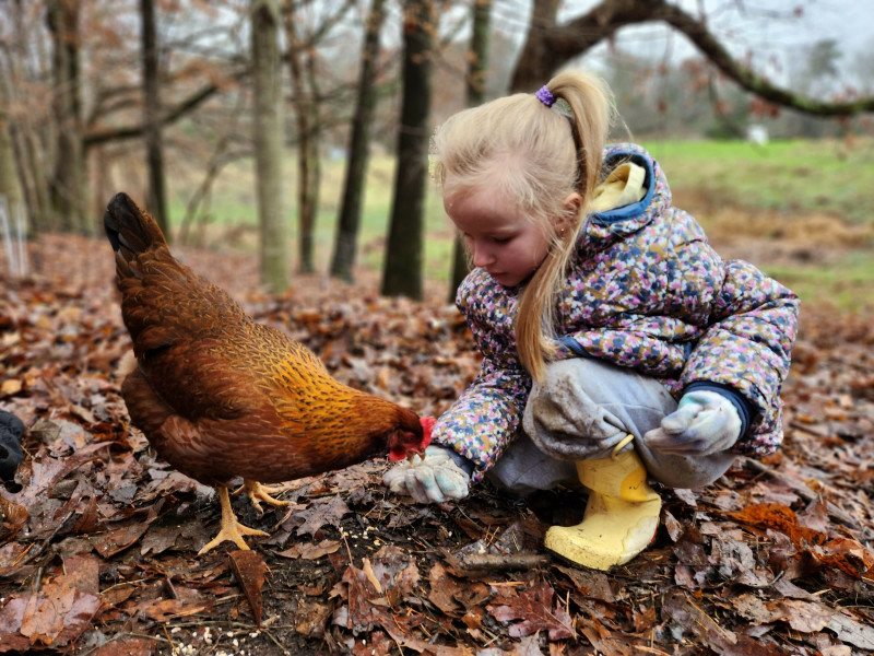 Forest sanctuary regenerative farm in Tennessee