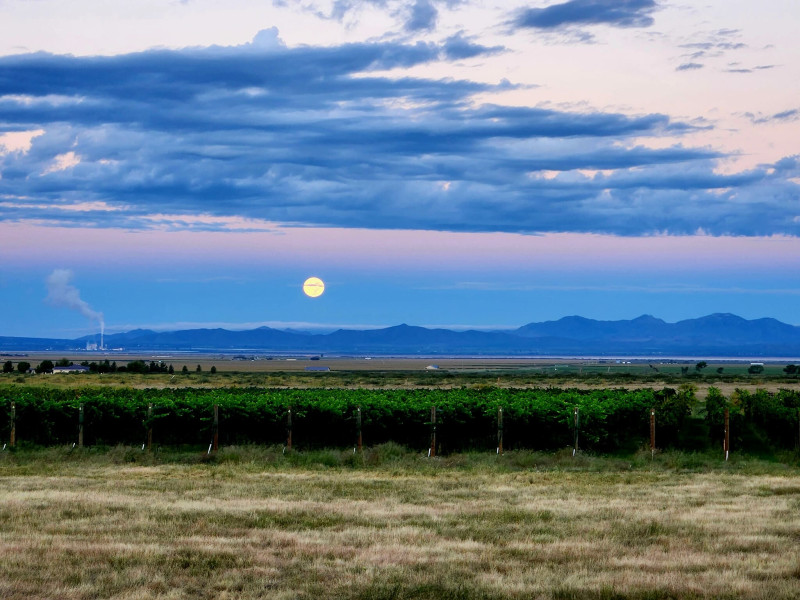 Scenic high-desert vineyard retreat