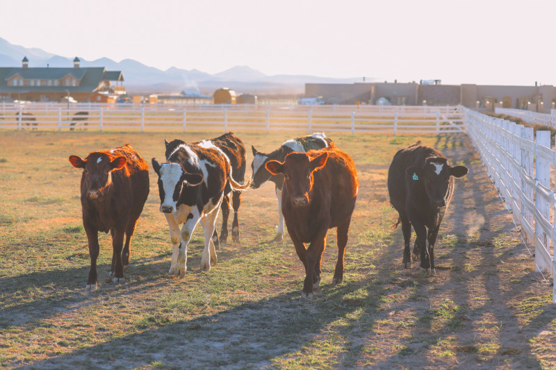 Farm landscape at a Harvest Hosts location in Arizona