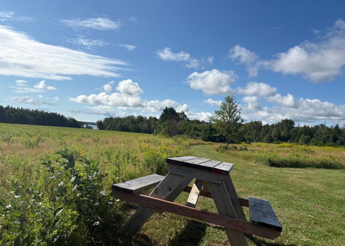 Tranquil island homestead farm retreat in Prince Edward Island