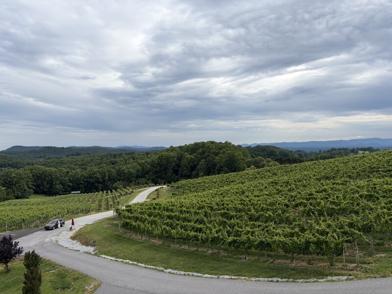 Mountain-top boutique winery stay in North Carolina