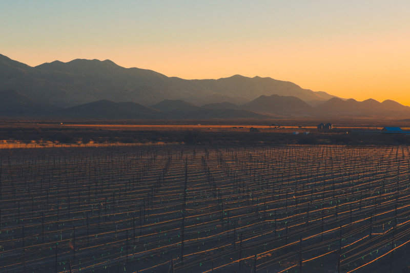 Vineyard landscape at a Harvest Hosts location