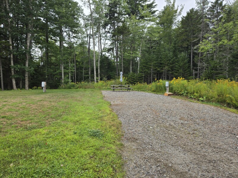 A wooded gravel campsite at a Host location