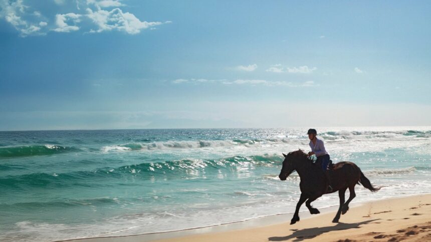 Traveller riding a horse on a beach holiday