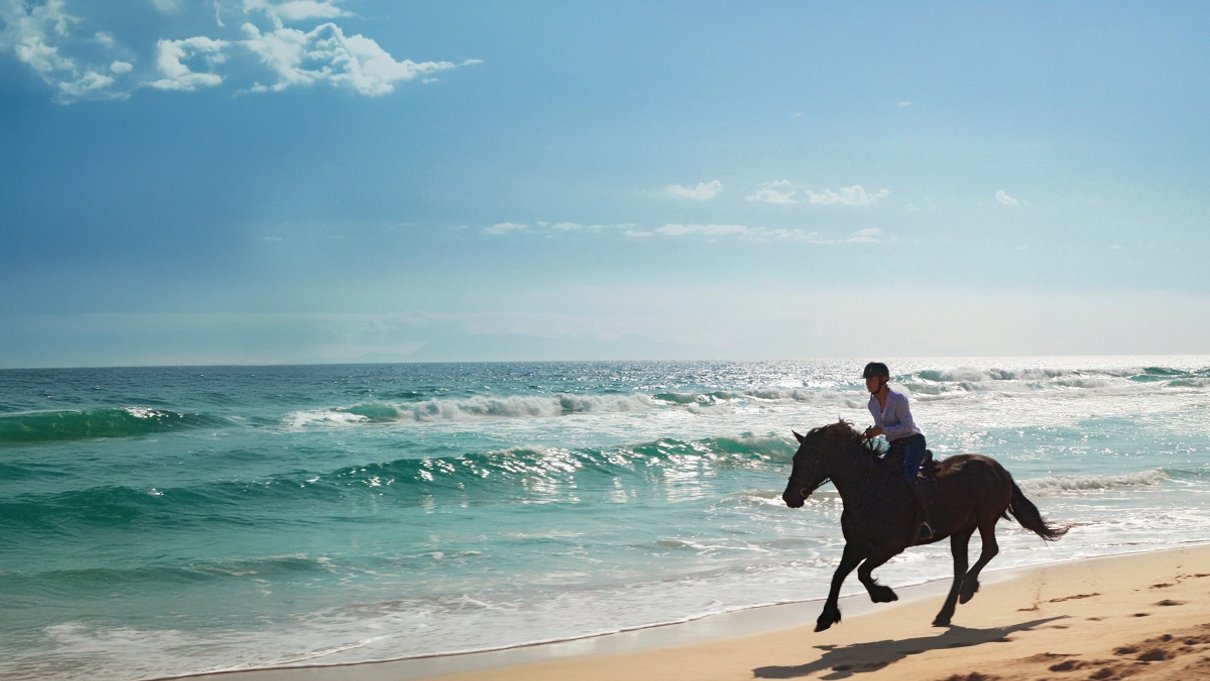 Traveller riding a horse on a beach holiday
