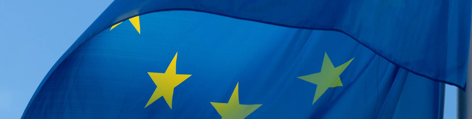 Bandiera dell'Unione Europea