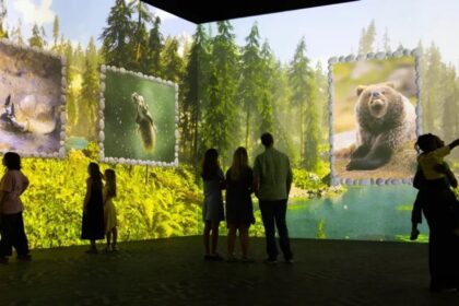 A colourful forest scene from the Nikon Comedy Wildlife Awards immersive experience at Frameless