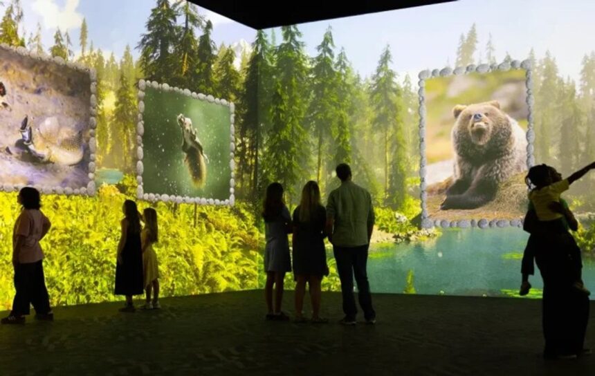 A colourful forest scene from the Nikon Comedy Wildlife Awards immersive experience at Frameless