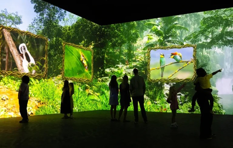 A jungle scene from the Nikon Comedy Wildlife Awards experience at Frameless