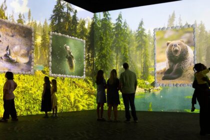 Projected wildlife photography in the Nikon Comedy Wildlife Awards immersive experience at Frameless