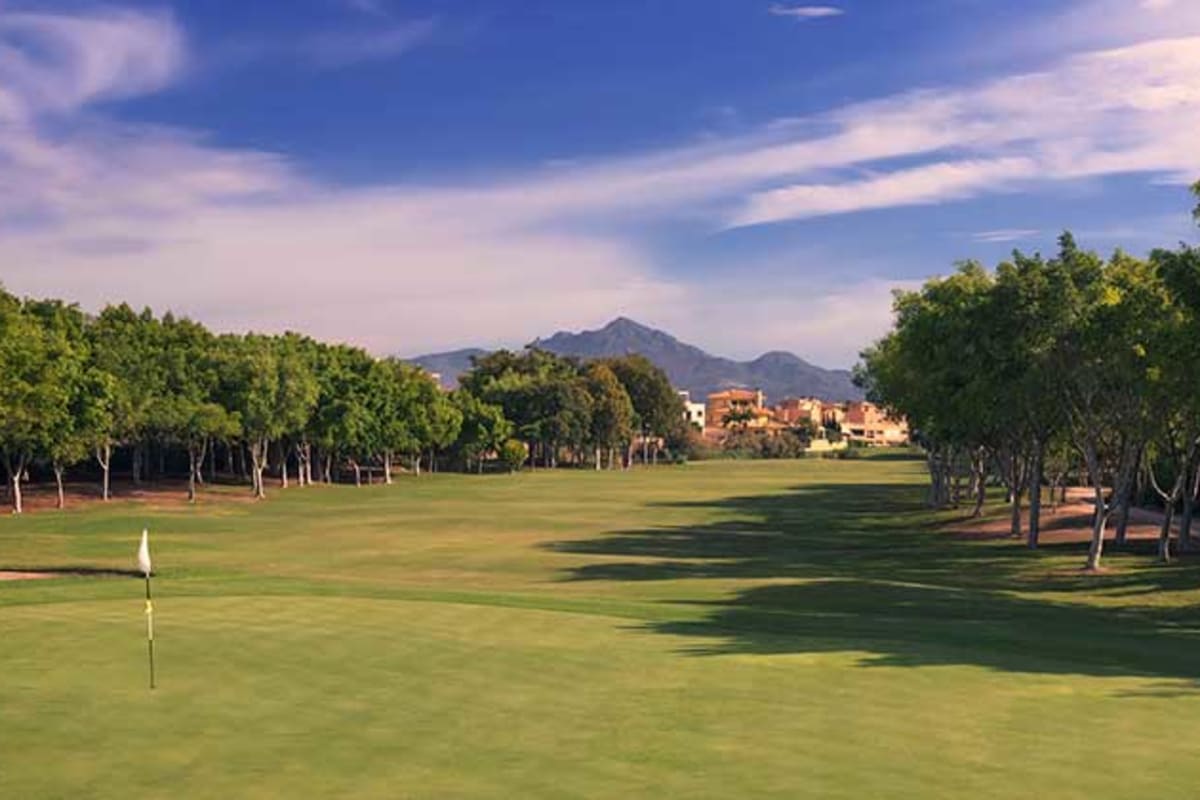 Recorrido ajardinado de Alicante Golf