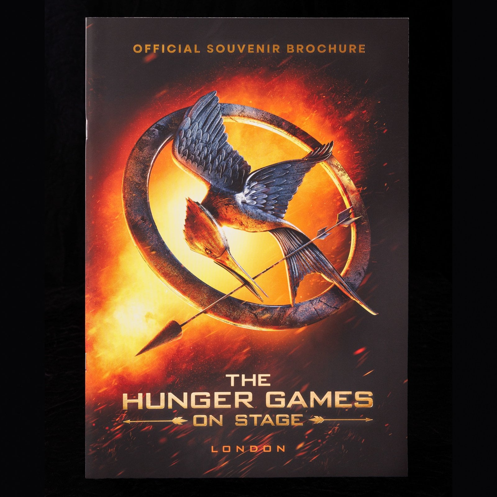 Official Hunger Games on Stage brochure