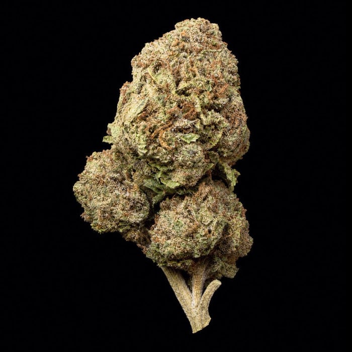 Single Mochi cannabis flower bud