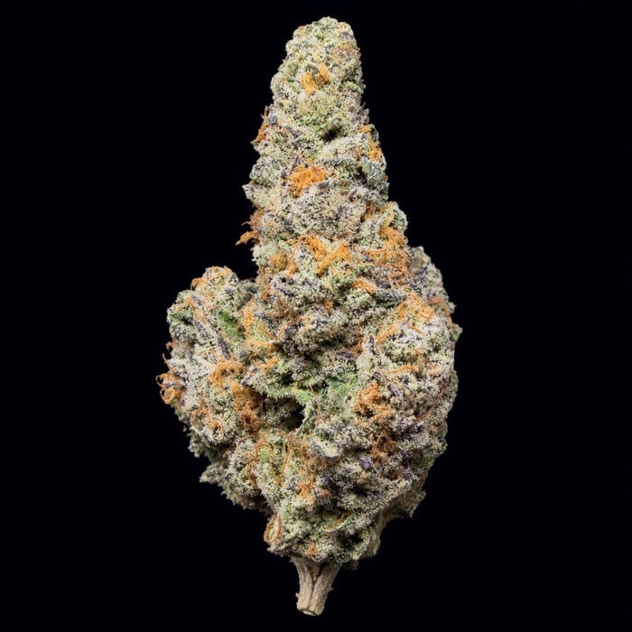 Single Warheads cannabis flower bud