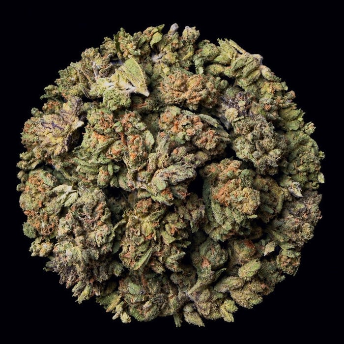 White Ash cannabis flower buds arranged in a pile