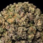 Rainbow Candy THCA flower buds from Lost In Translation, Inc
