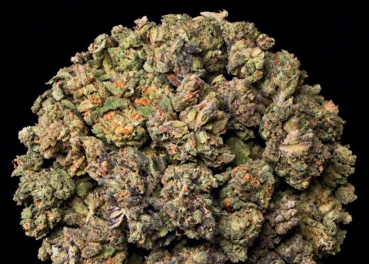 Rainbow Candy THCA flower buds from Lost In Translation, Inc