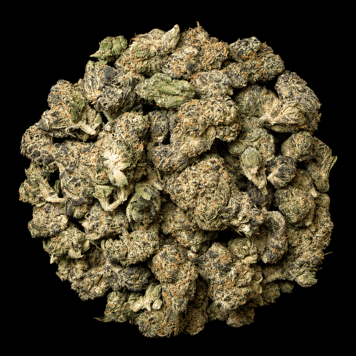 Super Runtz THCA flower from Lost In Translation, Inc