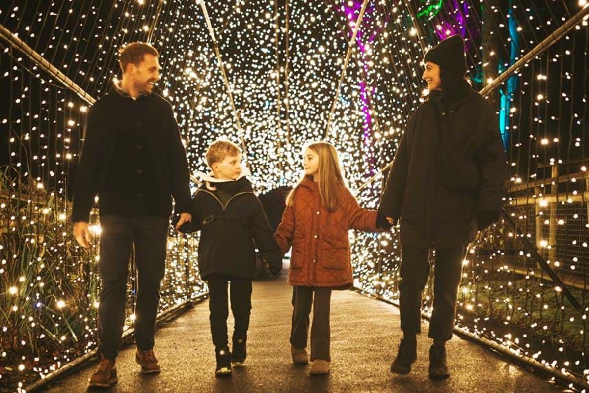 Family light trail at Port Lympne