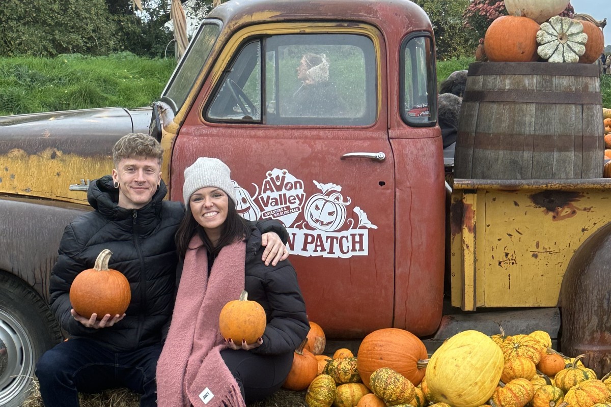 Visitors among pumpkins at Avon Valley Adventure Park