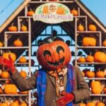 Seasonal character beside the pumpkin patch at Avon Valley Adventure Park