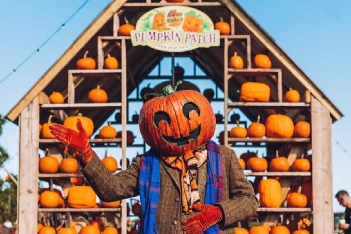 Seasonal character beside the pumpkin patch at Avon Valley Adventure Park