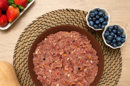 Cuenco con comida natural cruda y trozos de fruta