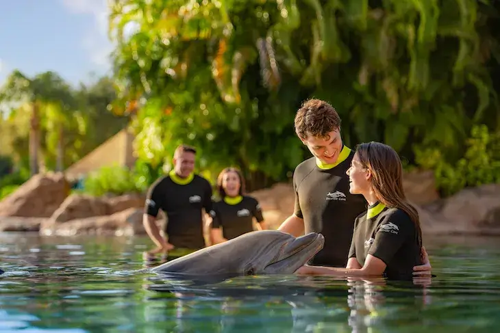 Visitors enjoying a Discovery Cove dolphin swim experience