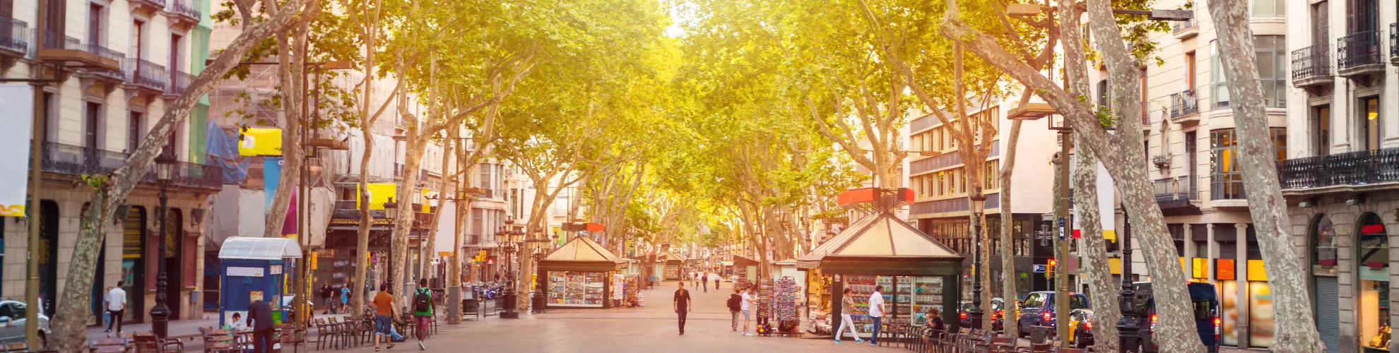 Viale alberato in città