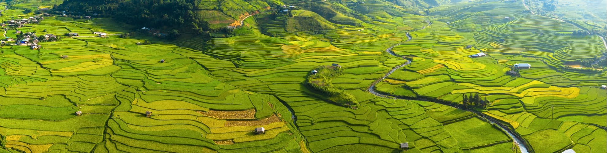 Paesaggio di viaggio in Asia