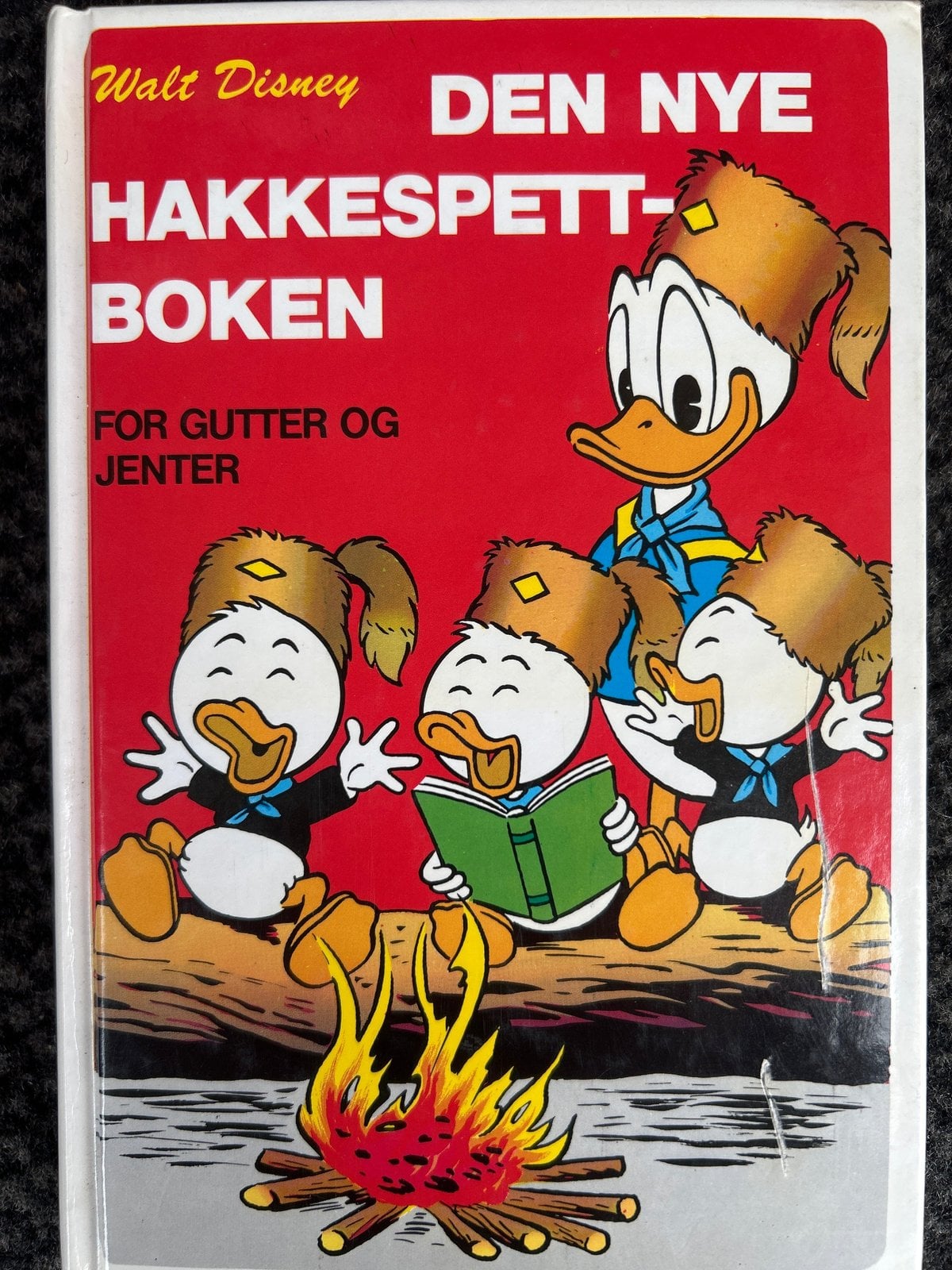 Fotografi av omslaget til Den nye hakkespettboken
