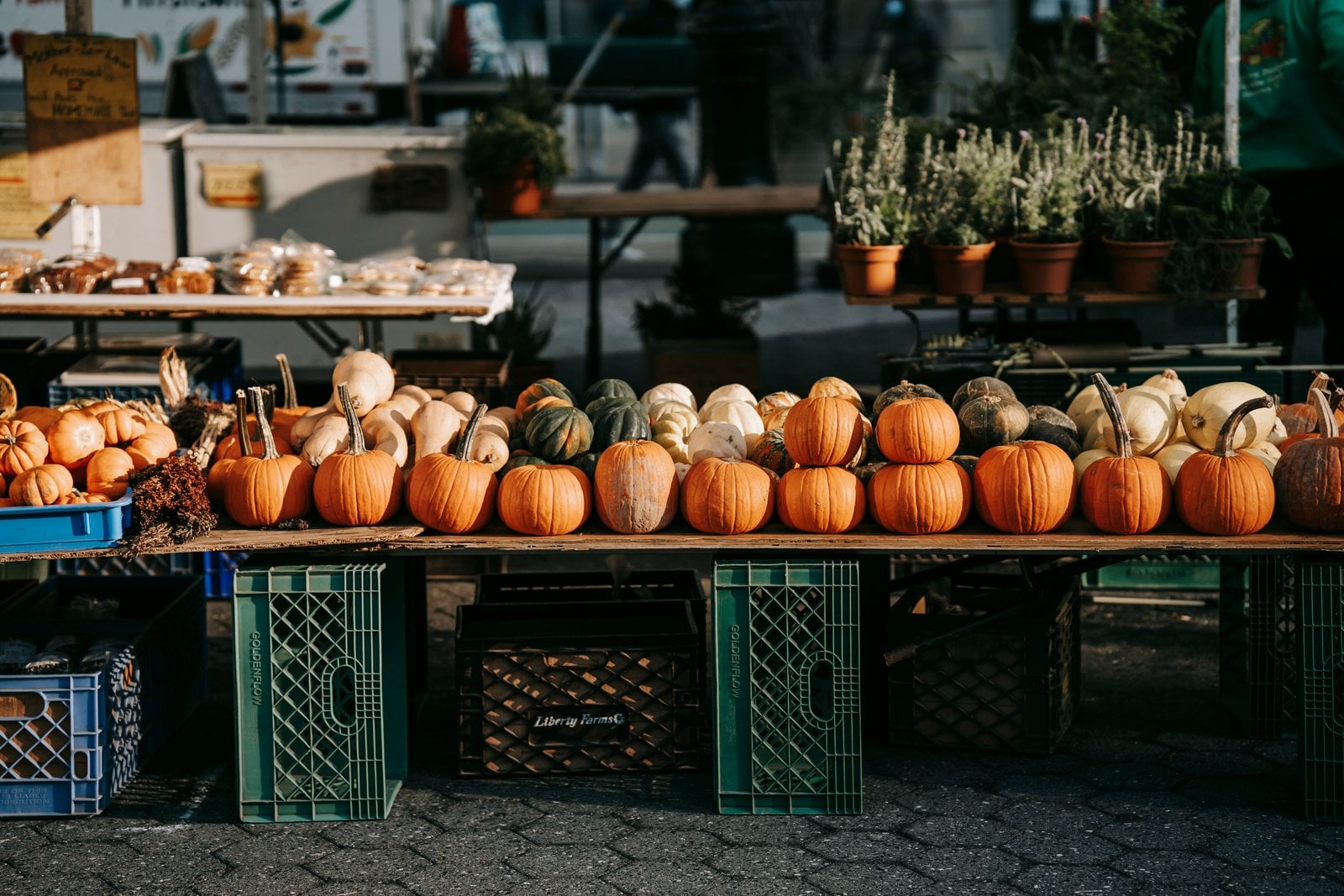 Kürbisse an einem Marktstand als mögliches Herbst-Ausflugsziel