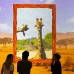 Projected wildlife image for the Comedy Wildlife Awards Lates residency