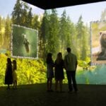 Comedy Wildlife Awards residency imagery at Frameless