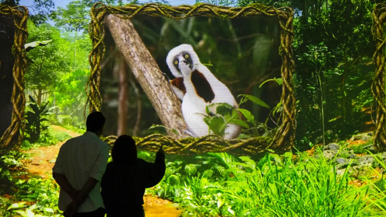 Colourful wildlife imagery from the Comedy Wildlife Awards residency
