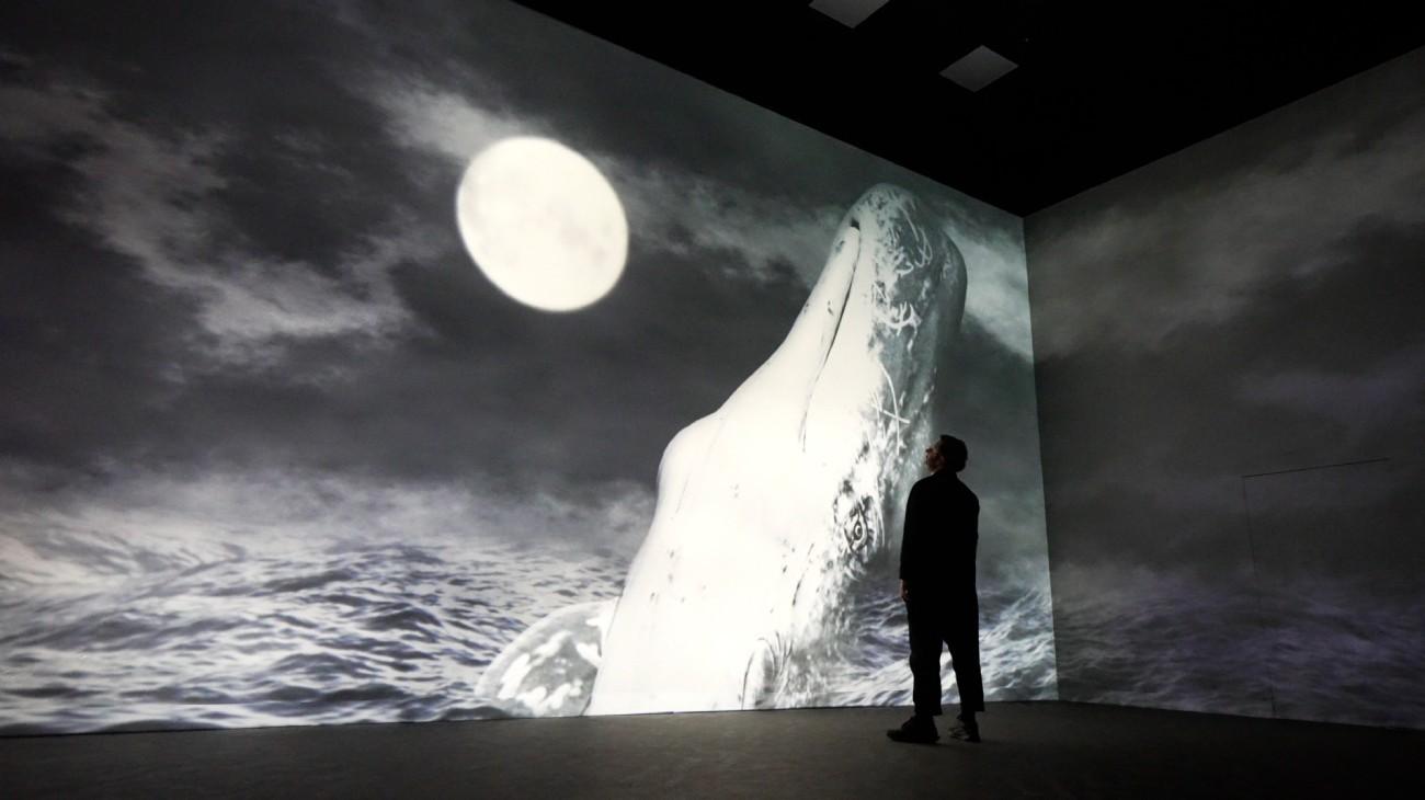 Large whale artwork displayed as an immersive Frameless visual