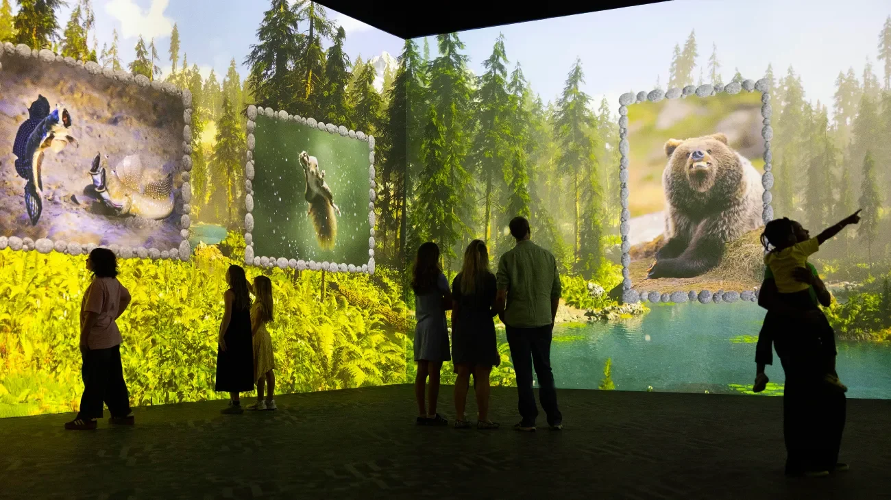 A projected forest habitat from the Comedy Wildlife residency