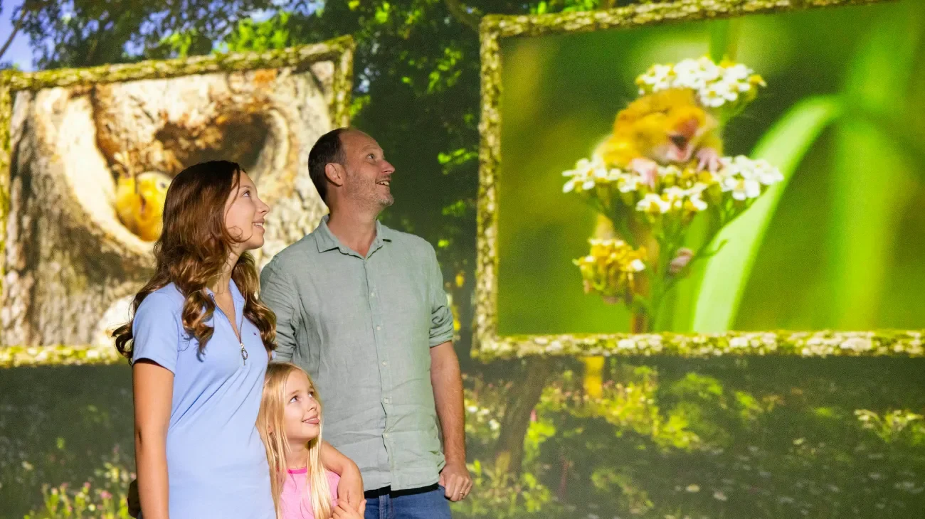A wildlife photograph displayed in the immersive grasslands habitat