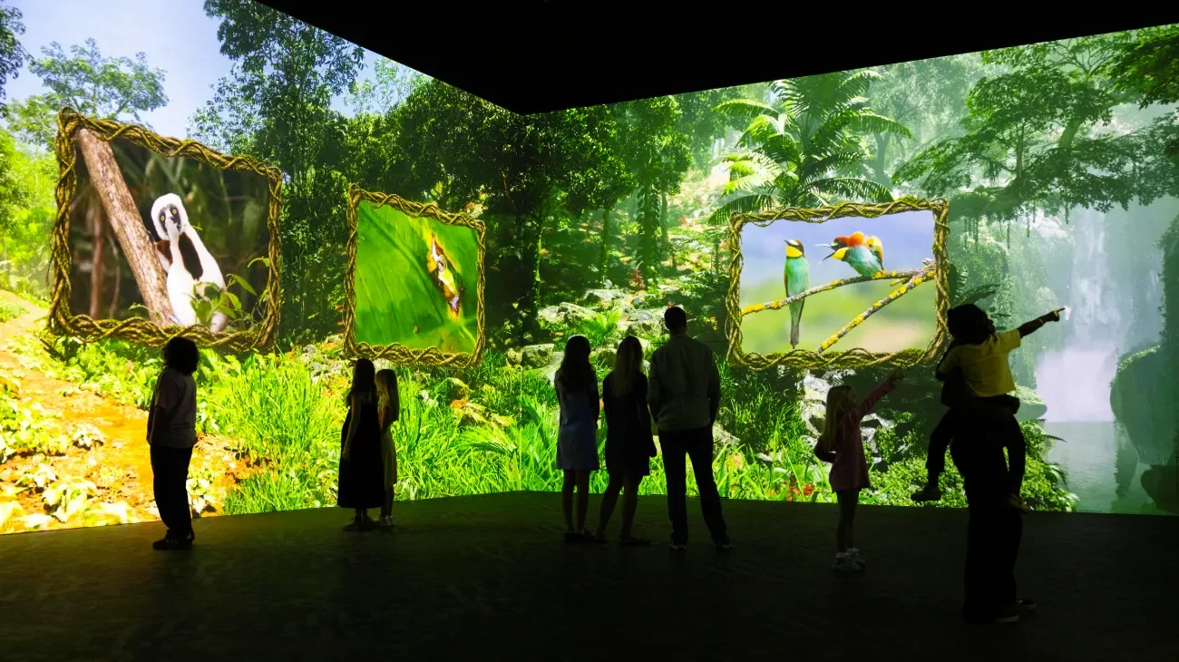 Wildlife photography presented in a jungle habitat