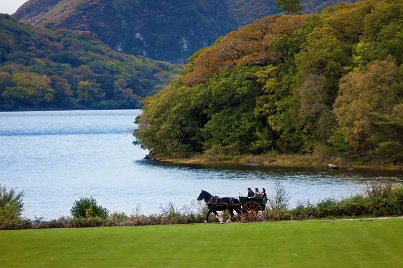 Jaunting cars represent one kind of local activity to consider when planning a hotel break.