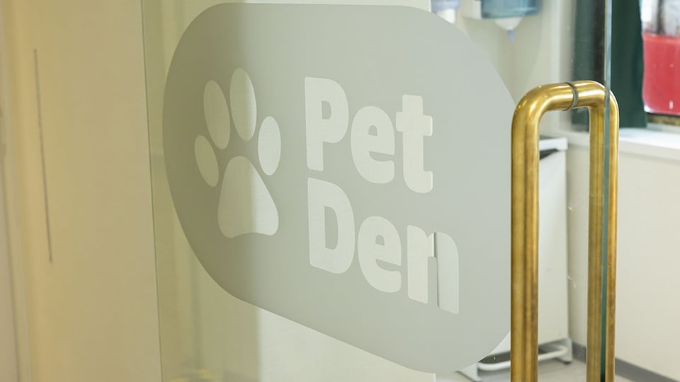 Pet travel area on Isle of Innisfree