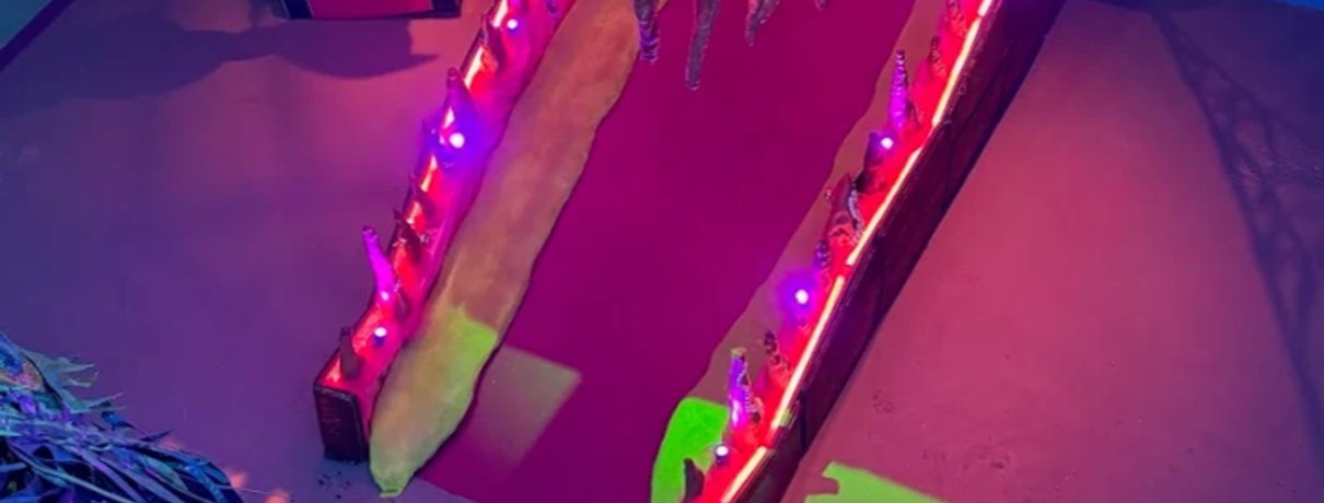 Colourful alligator-shaped entrance lit up at JAMNOLA New Orleans