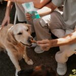 Perro acompañado por personas mientras recibe un snack de Natuka