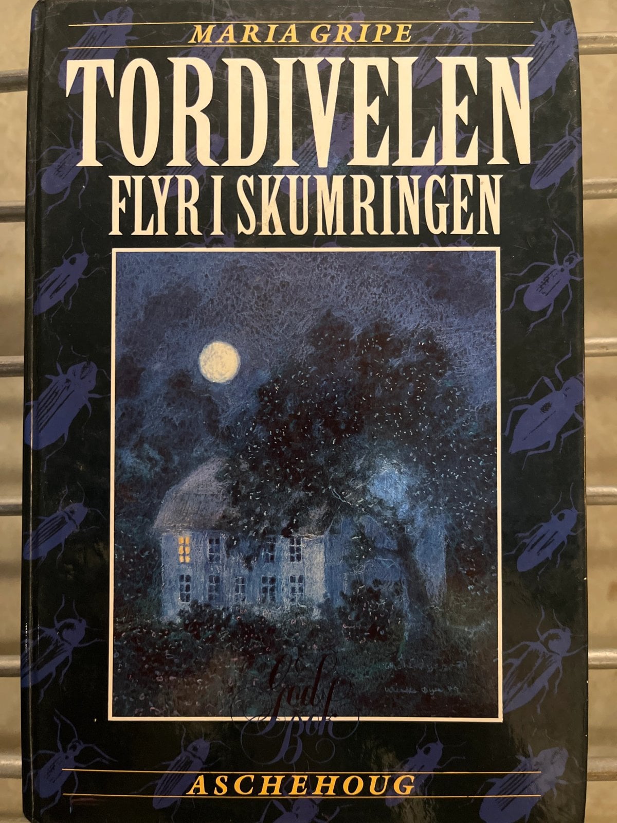 Forsiden til Tordivelen flyr i skumringen